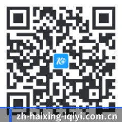 系统版 iOS 二维码